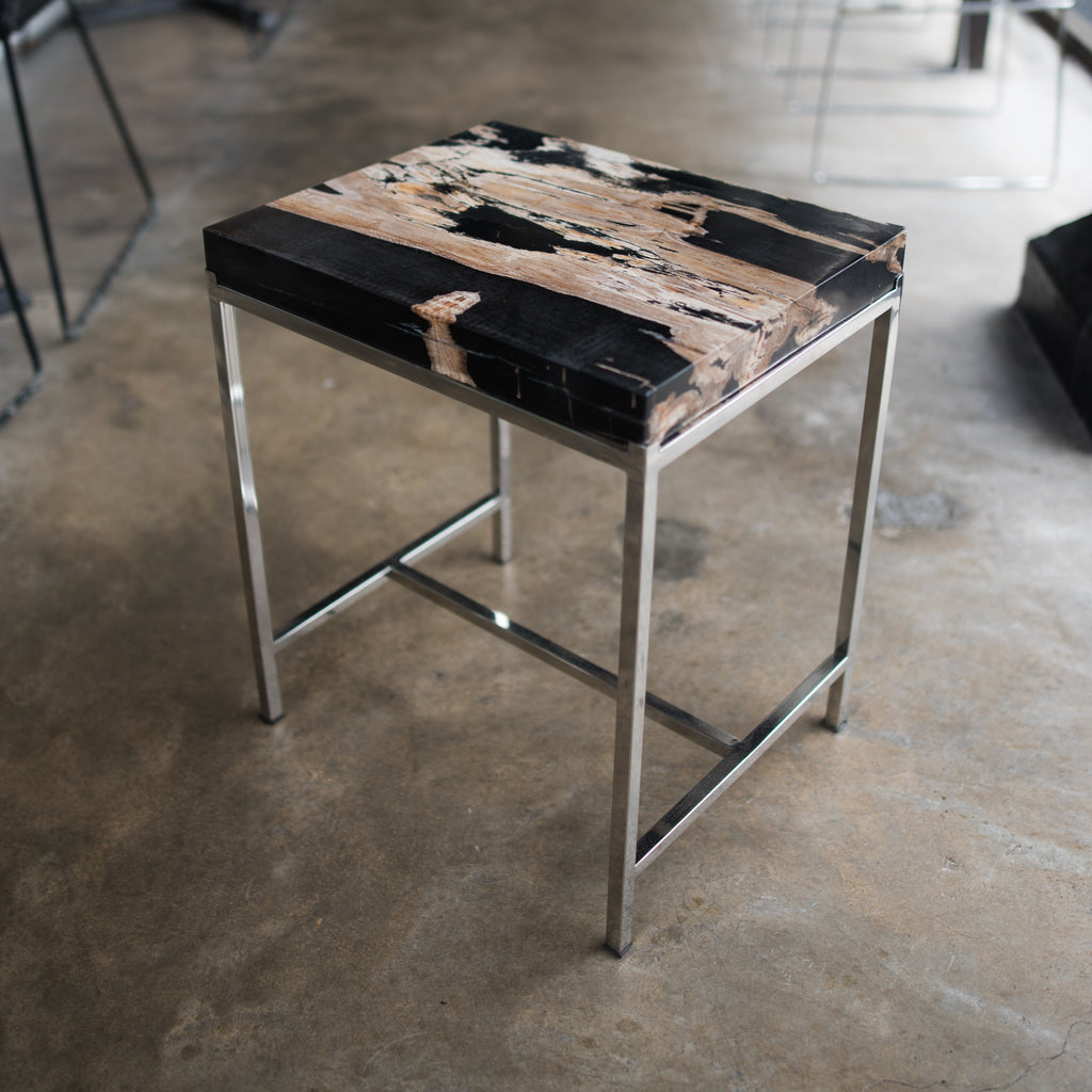Petrified Wood Side Table