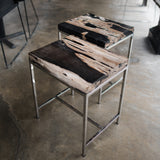 Petrified Wood Side Table