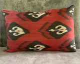 Velvet Ikat Cushion