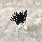 Capri Black Napkin Rings (Set of 4)