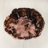 Acrylic Organic Shaped Petrified Wood Placemat