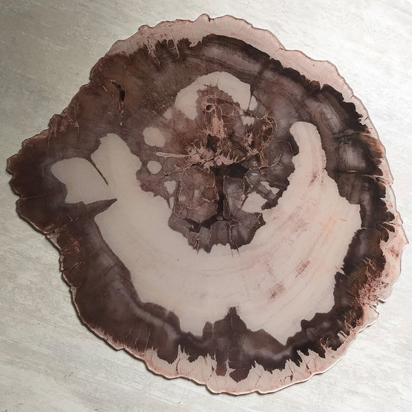 Acrylic Organic Shaped Petrified Wood Placemat